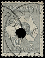 Devonport Roo